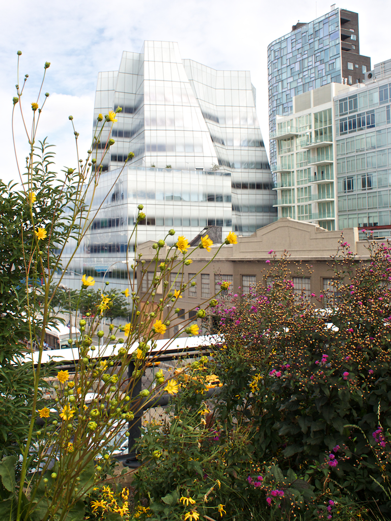 The Gardener’s Speech: Bringing the High Line Home