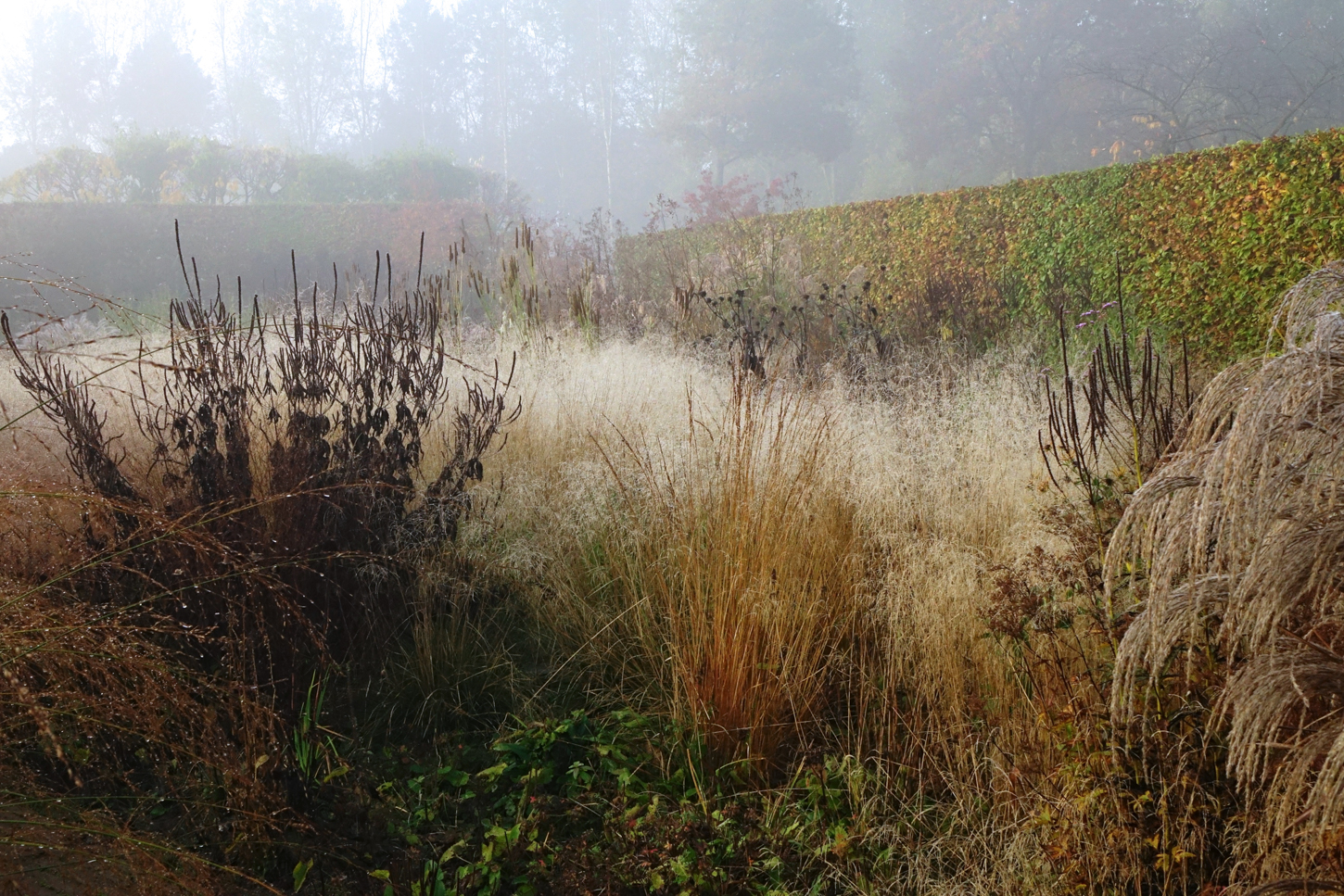 Autumn Requiem: Dawn of the Day of the Living Dead