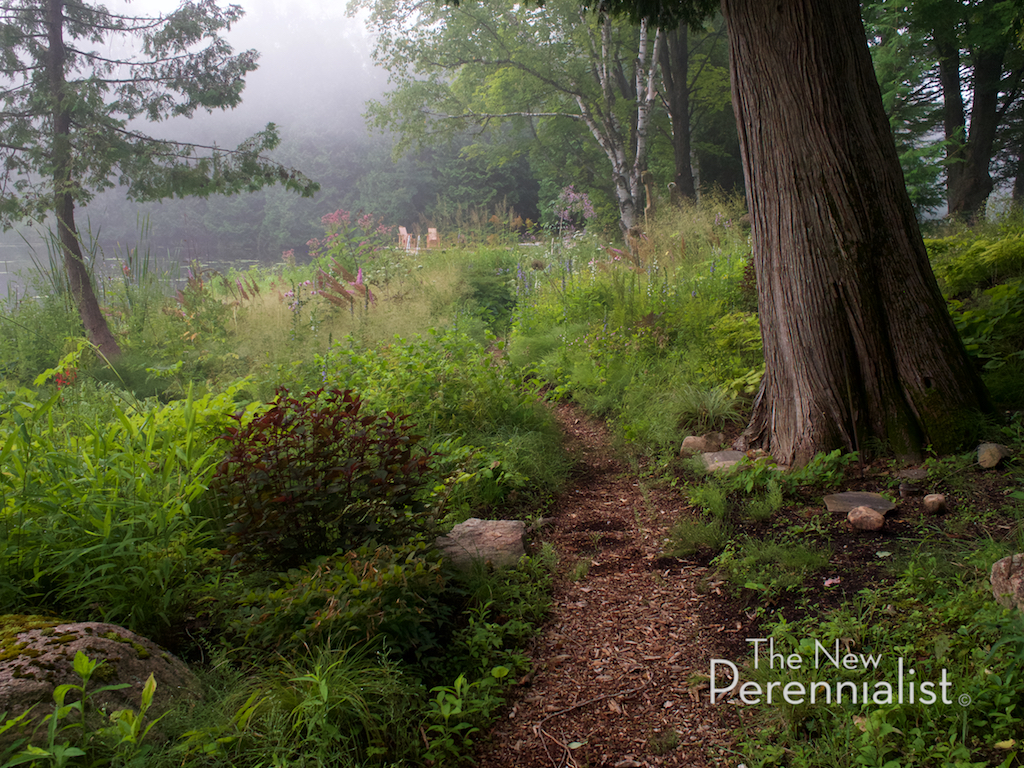 Fogbound: Inside the Veiled Garden