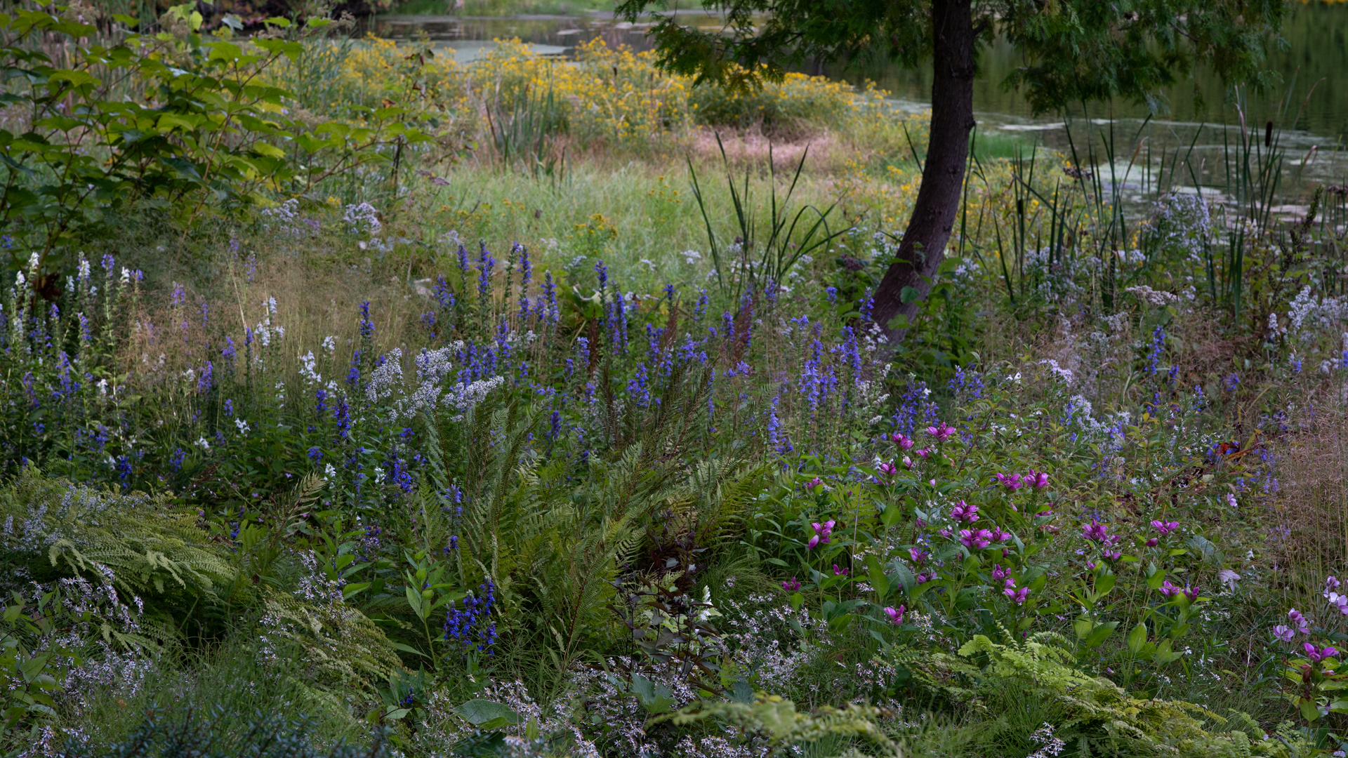 Supernaturalistic: The New Perennial Pond Garden