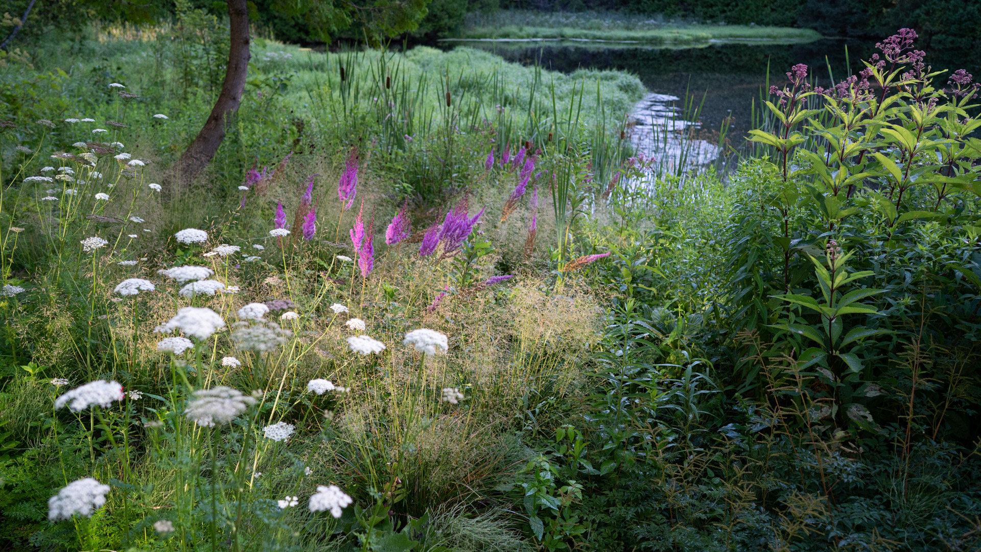 Speechless: A Northern Garden Comes into its Own