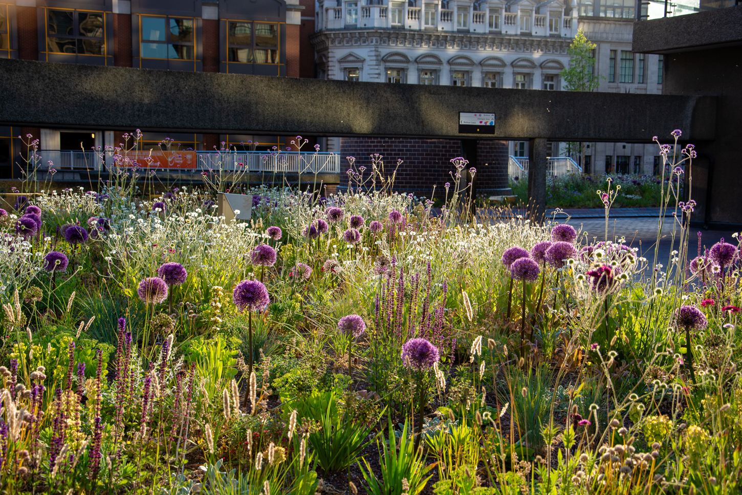 Future Nature: Reconnecting Plants and People