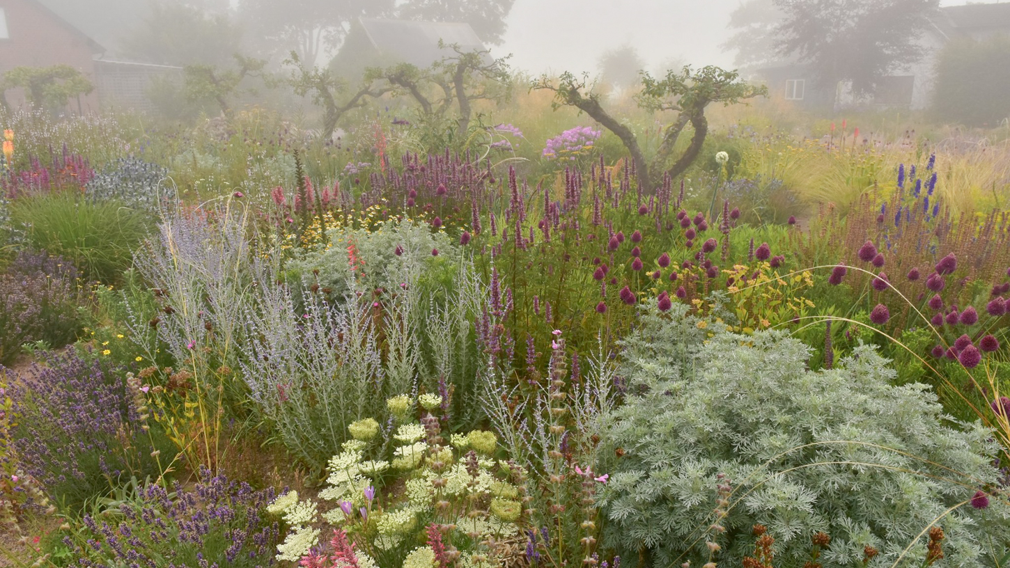 Enter Sandman: The High Diversity Plantings of Peter Korn