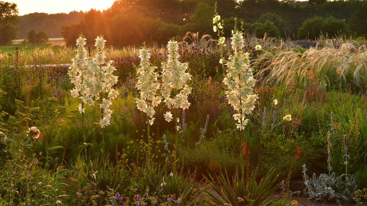 New Year Perennial Field Report: People, Plants, Places