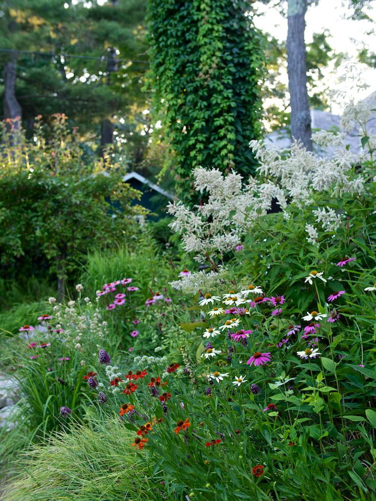 Wild Ish At Heart Naturalistic Planting Design The New Perennialist